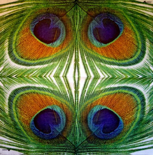 022 Nostalgia - 3-ply - Avantgarde